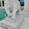 东莞 白麻花岗岩动物异形石雕-大象
