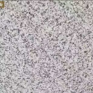 东莞白麻火烧面