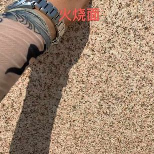 东莞黄金麻火烧面