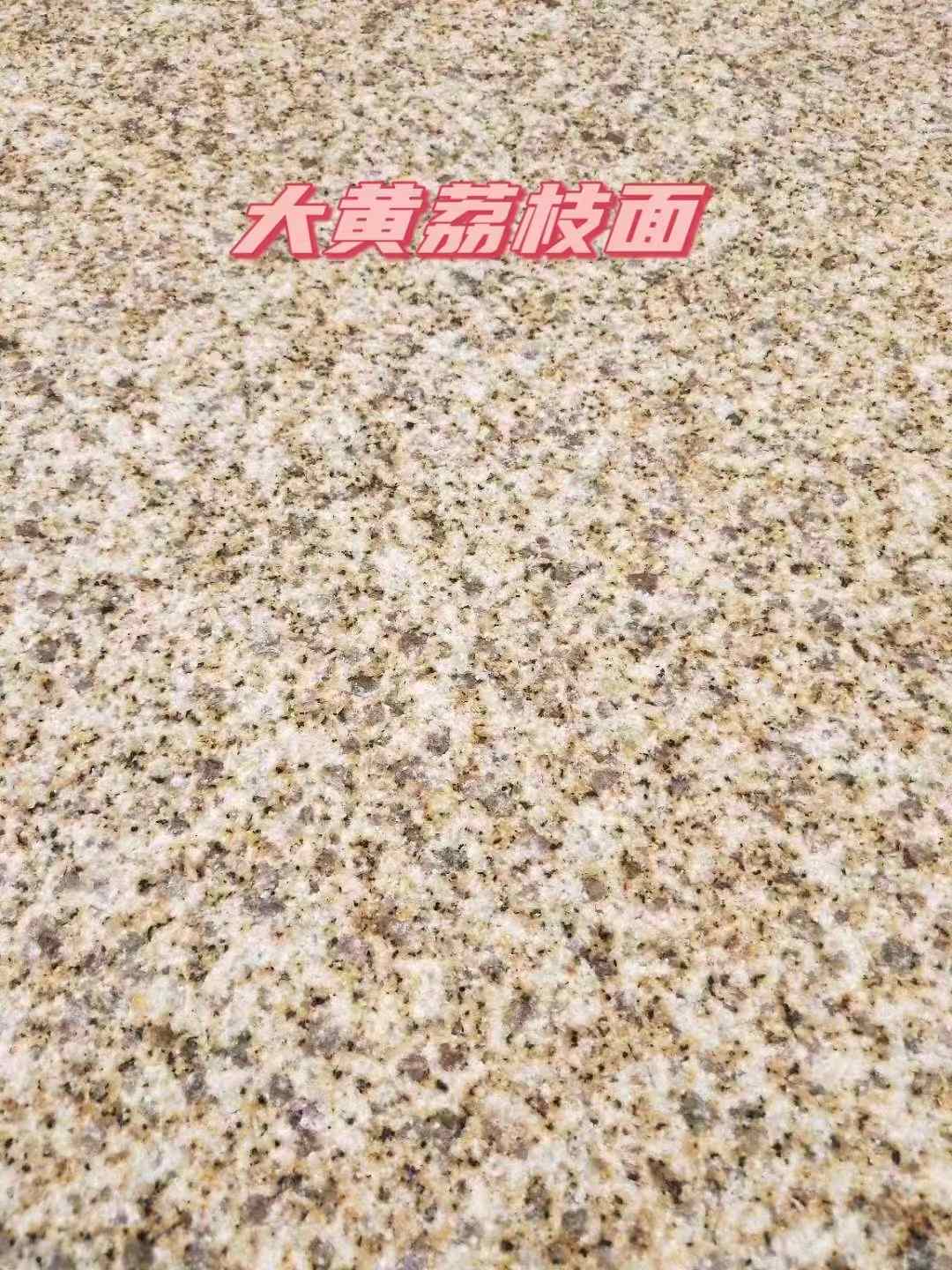 东莞黄金麻大黄荔枝面