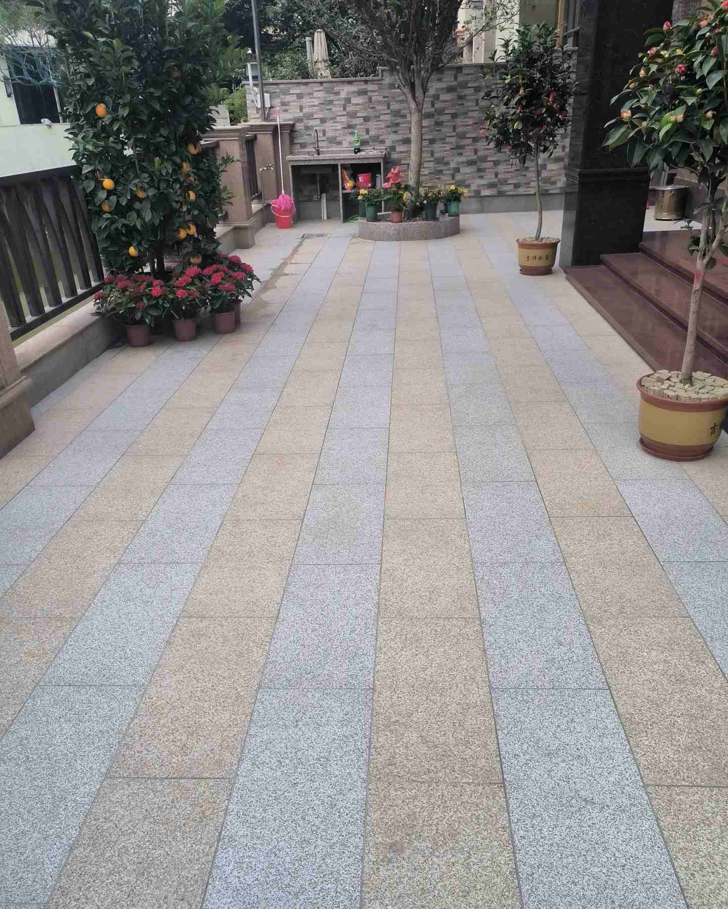 东莞 黄金麻白麻荔枝面庭院铺装展示